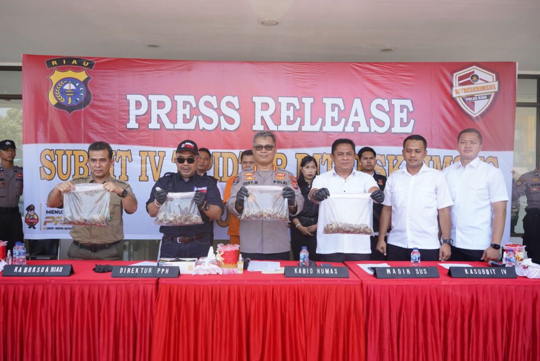 Penyelundupan 41 Kilogram Sisik Trenggiling dari Padang Sidempuan Gagal Dibongkar oleh Polda Riau: Pemilik Tersangka Ditangkap di Pekanbaru